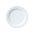 Noritake Arctic White 27cm Dinner Plate White