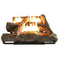 Alva Log Fireplace Gas Heater GFP101