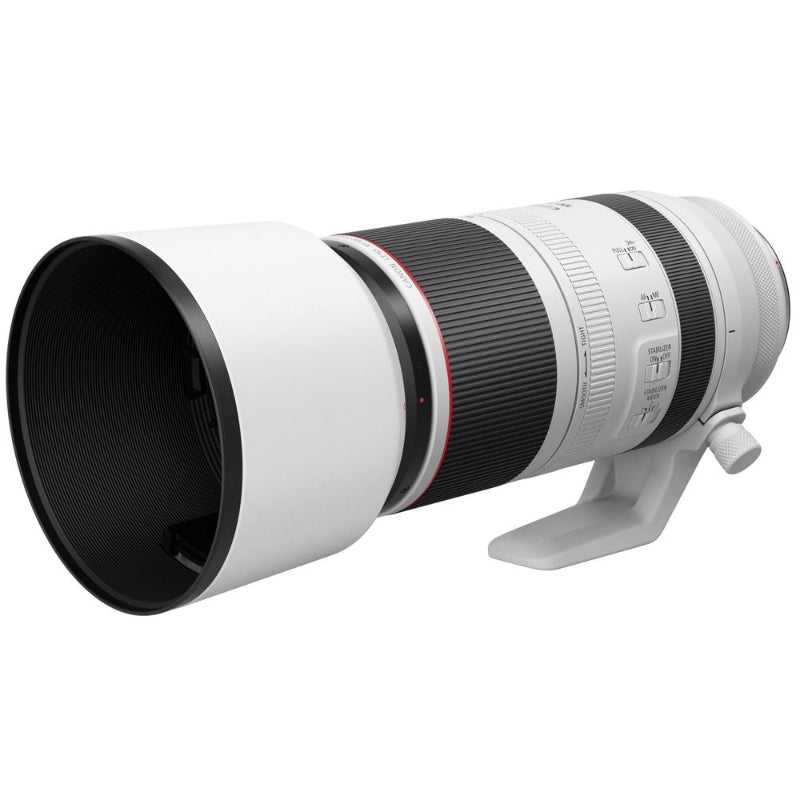 Canon RF 100-500mm f/4.5-7.1L IS USM Lens