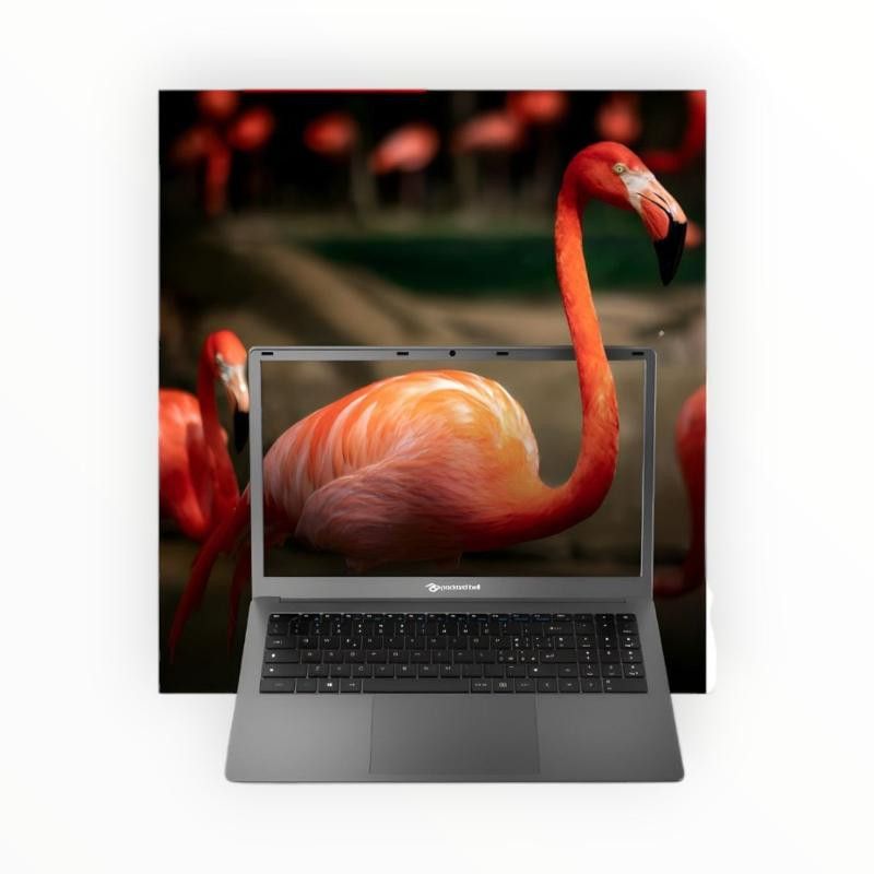 Packard Bell Vettel-C 15.6" Intel Celeron 4GB+128GB SSD Laptop