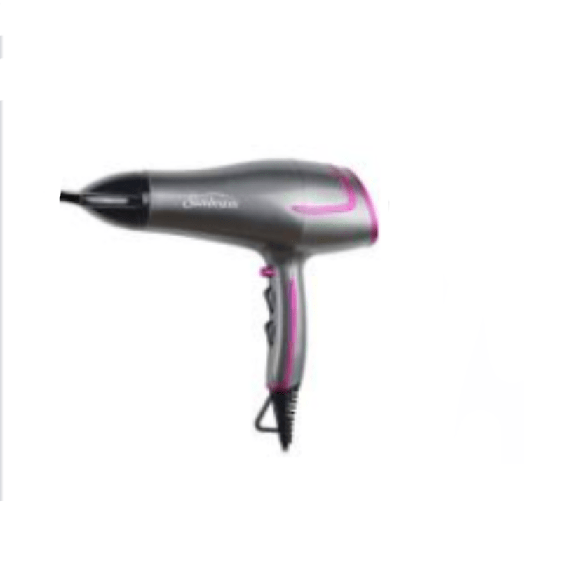 Sunbeam Hair Dryer - SHD-8981